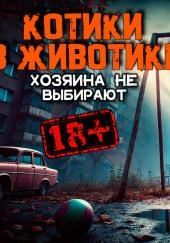 Котики в животике