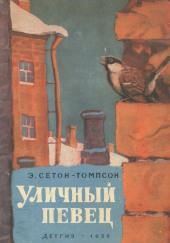 Уличный певец