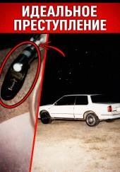 Идеальная подстава почти сработала